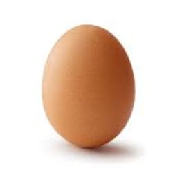 uncl3sam