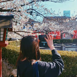 seira_jp