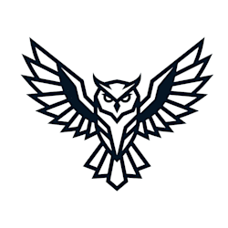owllitek_studio