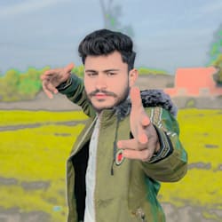 mehranseo5