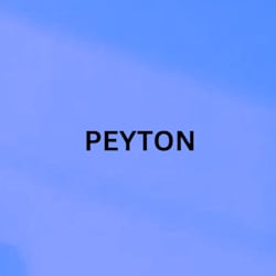 peytonsulliv158