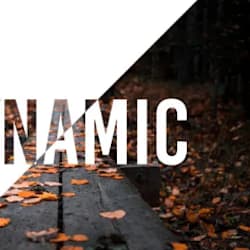 dynamicbookso