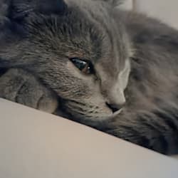 emymcconnell18