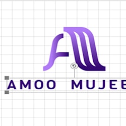 mujeebamoo200