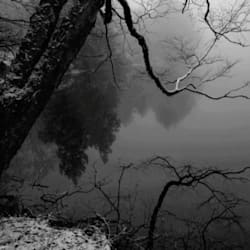 emran_darkbat
