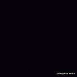 andreameloni281