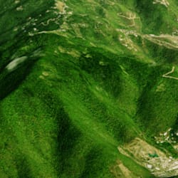 qaridh