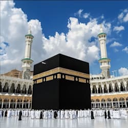 umar_dev56