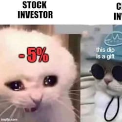 cryptox12