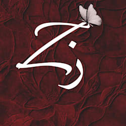zdsstudio226