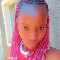 shanty_t