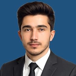 waleed_vision