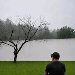 shahzebijaz