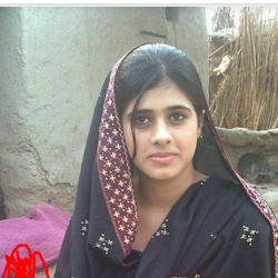 niha_455