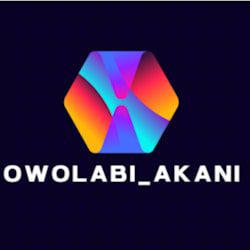 owolabi_akani5