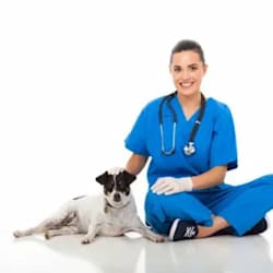 dr_penelopelola