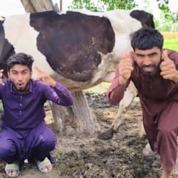 furqan34ty
