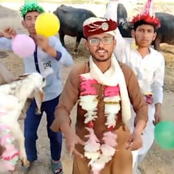 kashif4667