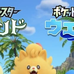naoto_ama