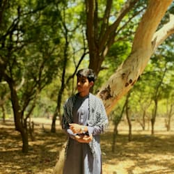 ali_mughalx