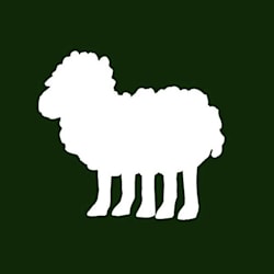 abdelhamiddriss