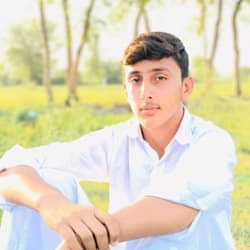 bushrapro24