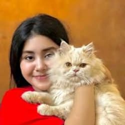 sagarika_seo