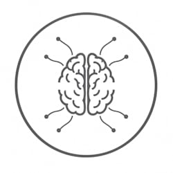 ms06v2