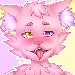 Fiverr profile picture for @forcing