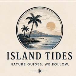 oliveira17tides