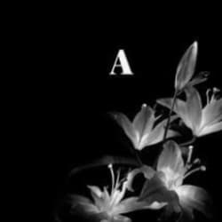 atlas_agencio