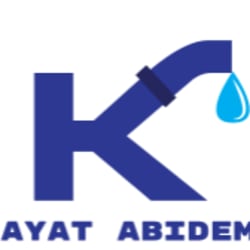 abidemiaderemi