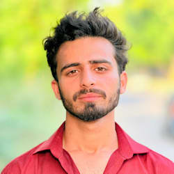 syedzainshah937