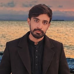 ali_expert110