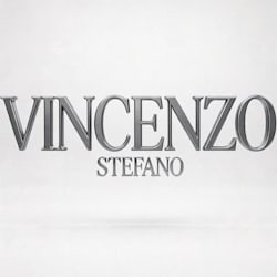 vincenzo_stef