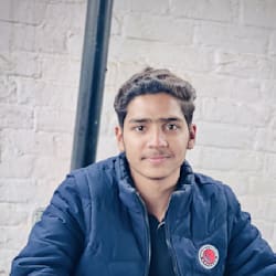 shahzilzaidi