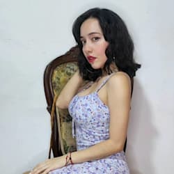 deisysan