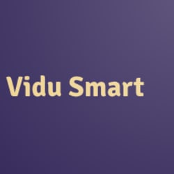 vidu_smart