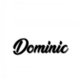 dominicclark581