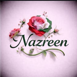 nazreen_writer