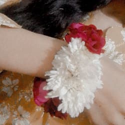 nimrasajidni821