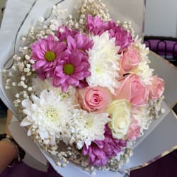 sam_dahel