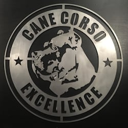 canecorsocce