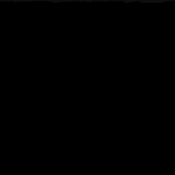 freelhelsi