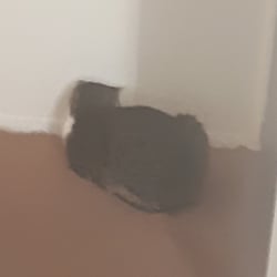 tostadogaming