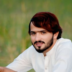 aliza_seo1