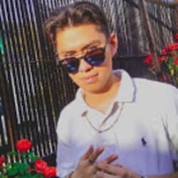 gato_malto