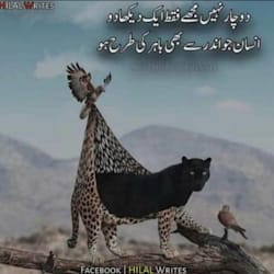 zohaibdigital3