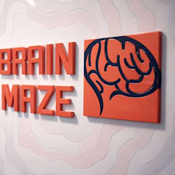 the_brain_maze