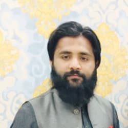 hafizfarooq742